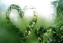 pg模拟器Scout爆冷击败法国队，关键助攻引爆全场！的简单介绍