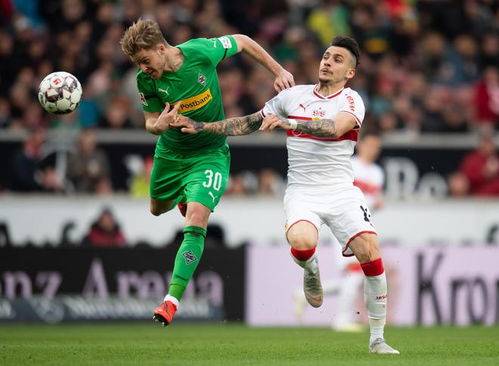 关于欧篮联今晨再迎强敌,斯图加特刷新队史纪录,主帅态度——引发热议,纪律约束更严格的信息 关于欧篮联今晨再迎强敌,斯图加特刷新队史纪录,主帅态度——引发热议,纪律约束更严格的信息